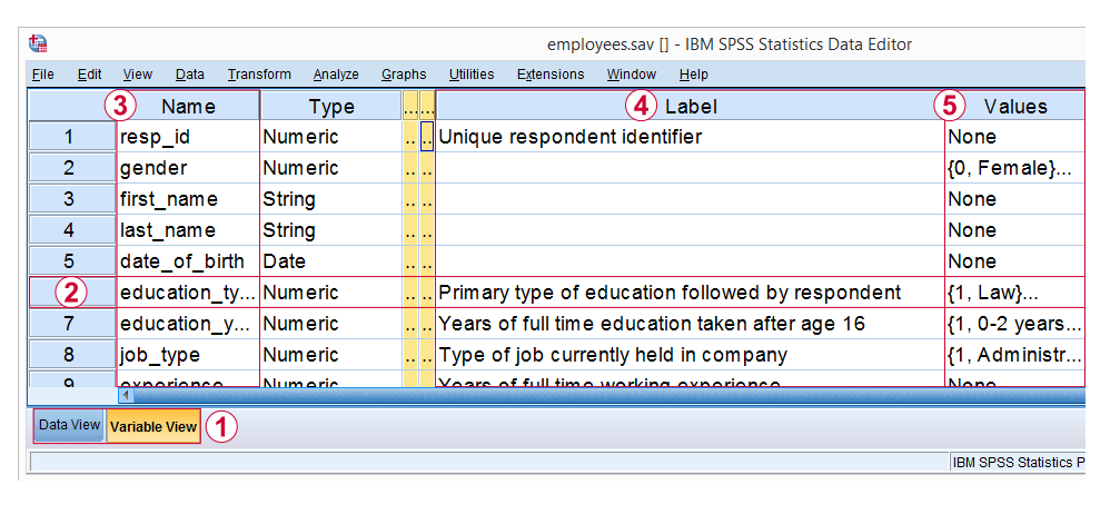 SPSS Variable View with Flagged Variables, Variable Labels, and Value Labels